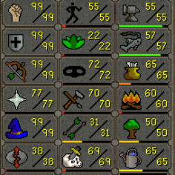 Max Combat Main || Infernal Cape || Dizana's Quiver || All Prayers Unlocked || Range/Melee Elite Void || Hand-Trained 4